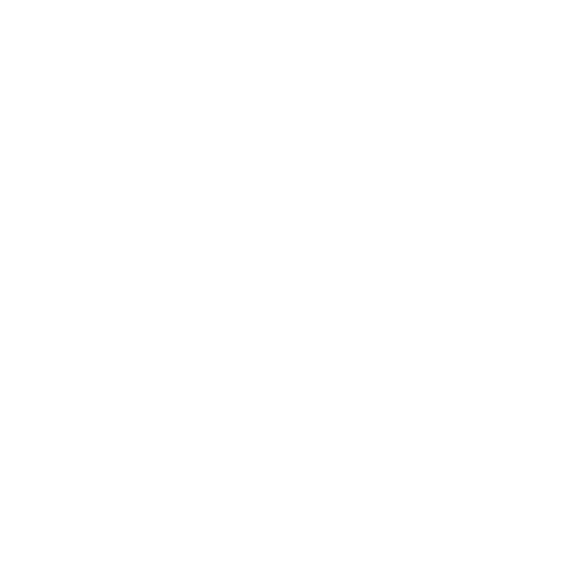 Mision Qualitat Internacional